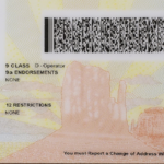 Arizona-fake-id-back