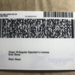 Mississippi-fake-id-back-1536x1152