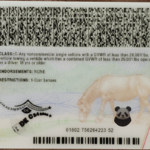 North-Carolina-fake-id-back