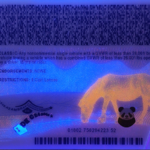 North-Carolina-fake-id-back-uv