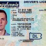 PA-fake-id