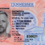 Tn-fake-id