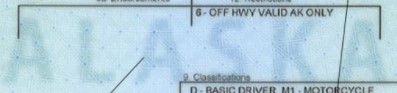 alaska-fake-id-back-outline