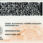 arkansas-fake-id-idtop
