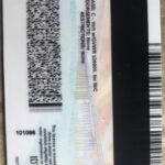 california-fake-id-back