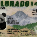 colorado-fake-id