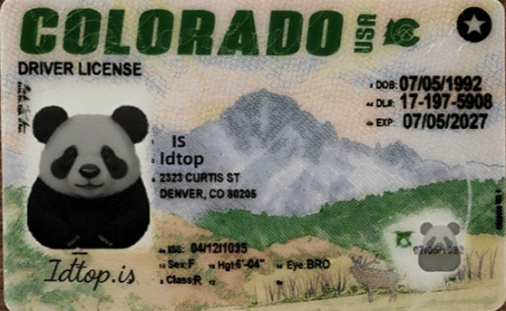 colorado-fake-id