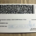 delaware-fake-id-license-scaled