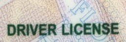 florida-drivers-license