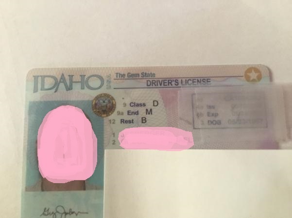 idaho-dl-sample