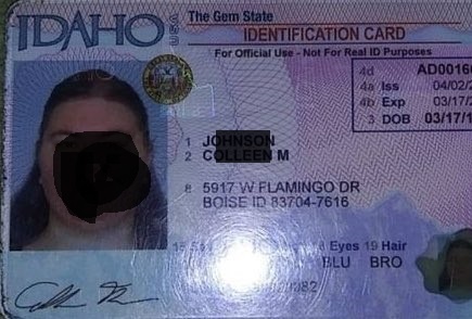 idaho-dl-sample3