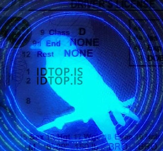 idaho-uv