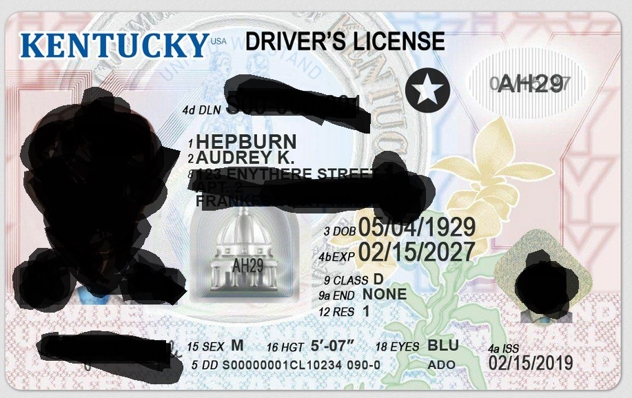 kentucky-fake-id-samples-1