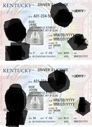 kentucky-fake-ids-sam-1