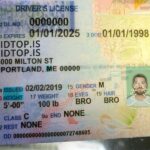 maine-fake-ids