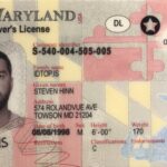 maryland-fake-id-2-scaled