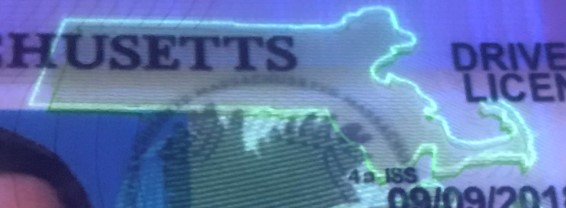 massachusetts-drivers-license-uv-1