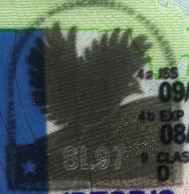 massachusetts-kinegram