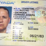 nevada-fake-id