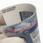 nevada-fake-id-card