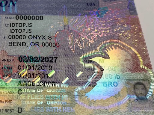oregon-drivers-license-tri-holograms