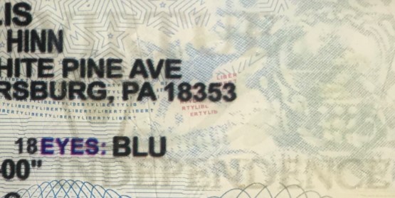 pennsylvania-holograms-id