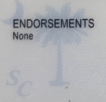 south-carolina-fake-id-symbols