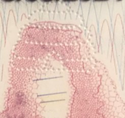 utah-laser-perforation
