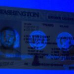 washington-fake-id-uv