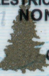 washington-foil-tree