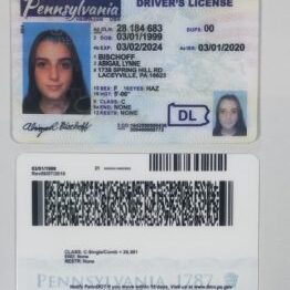 pennsylvania-fake-id-1-262x300